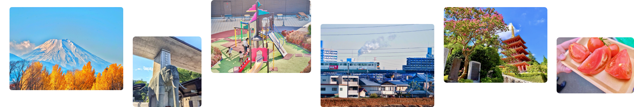 日野市の様子