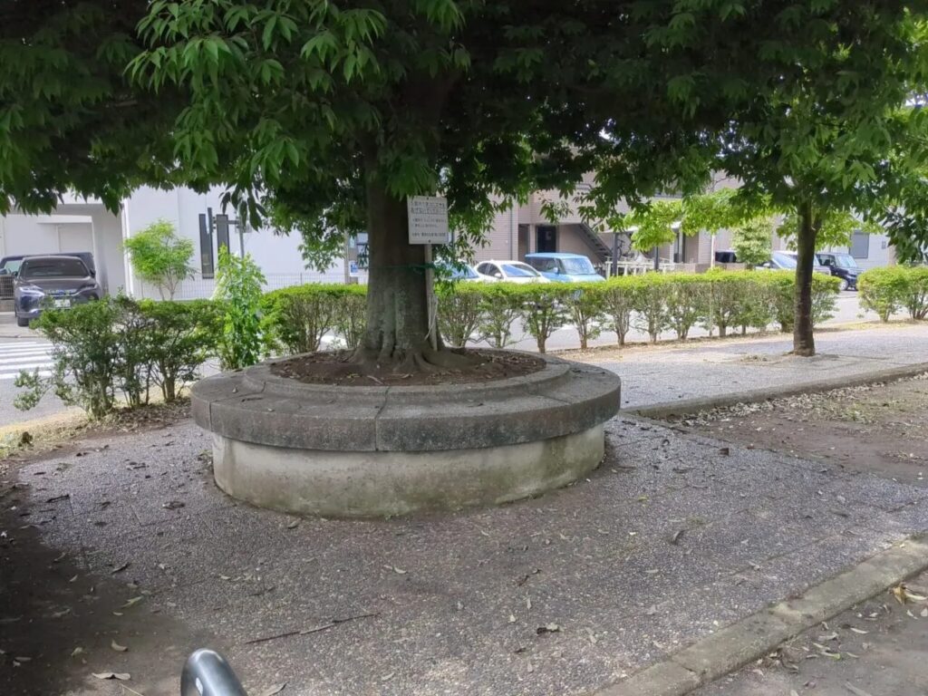 四ツ谷下東公園(さくら公園)